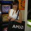 DSC03816